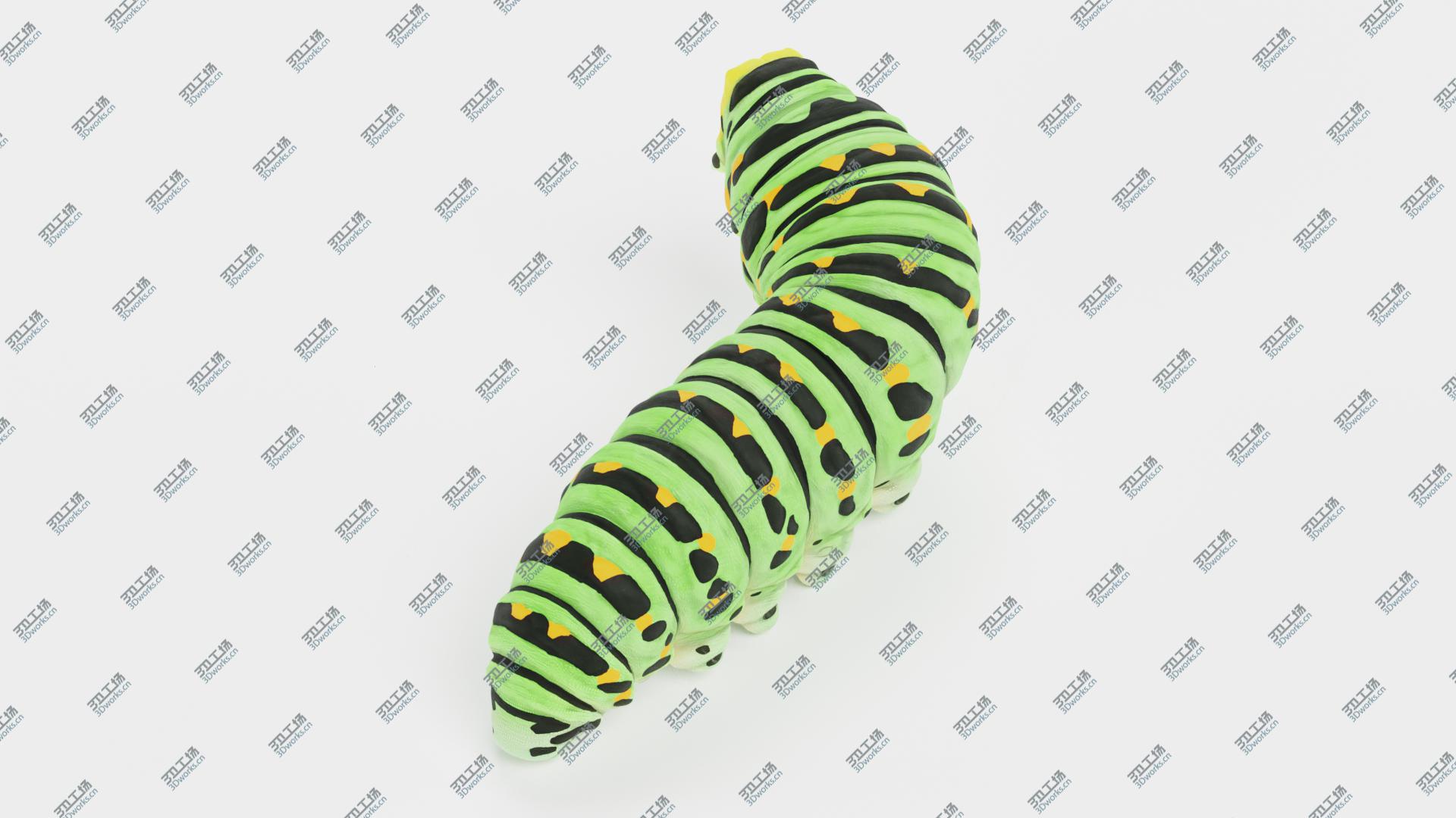 images/goods_img/202104091/Swallowtail Caterpillar Rigged 3D model/4.jpg